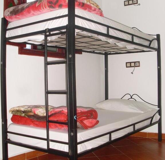 تختخواب و صبحانه The Medina Hostel