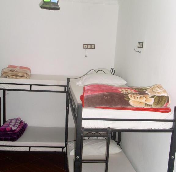 تختخواب و صبحانه The Medina Hostel