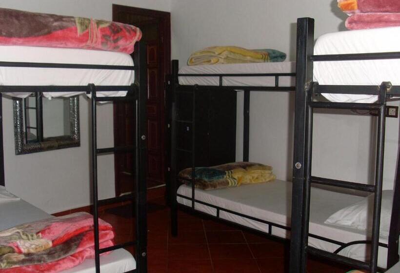 تختخواب و صبحانه The Medina Hostel