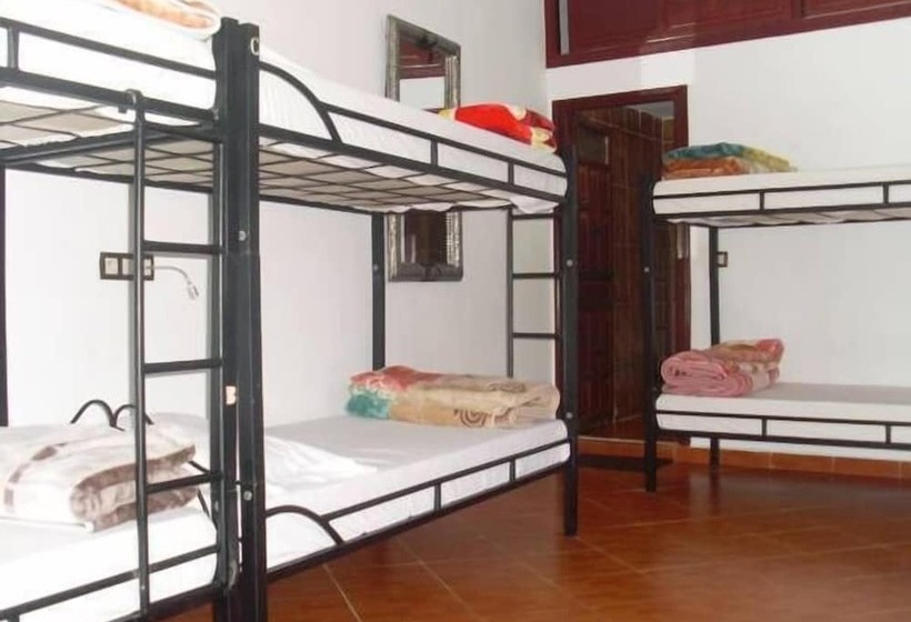 تختخواب و صبحانه The Medina Hostel