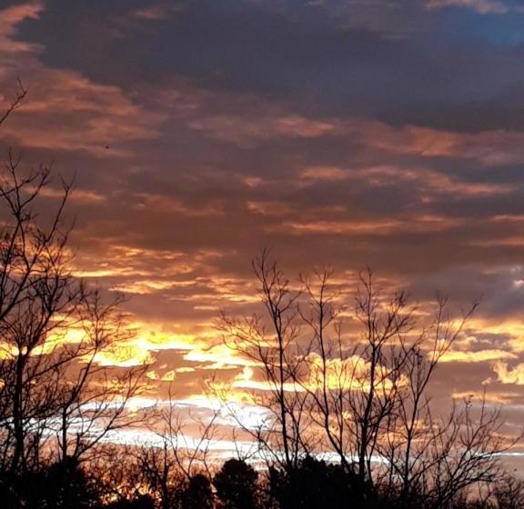 مبيت وإفطار The Willows Guesthouse