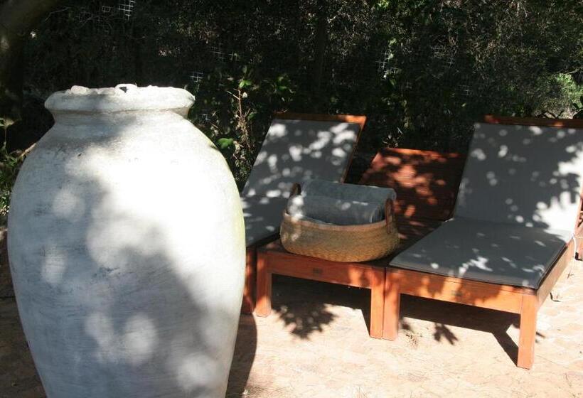 مبيت وإفطار Villa Helderberg