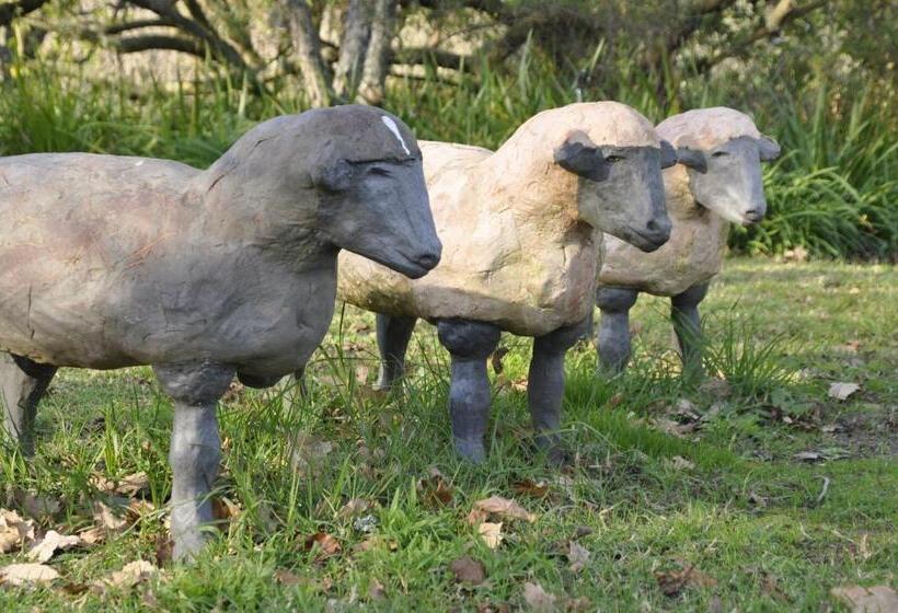 צימר Wildekrans Country House