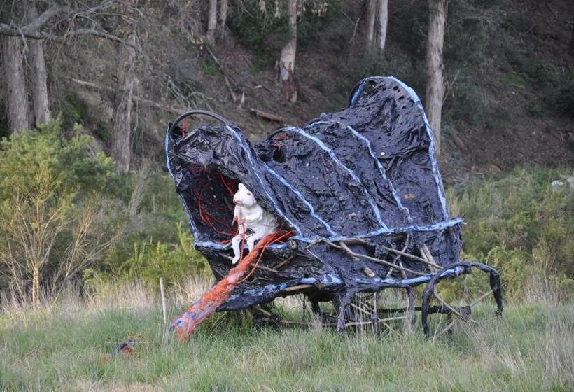 צימר Wildekrans Country House