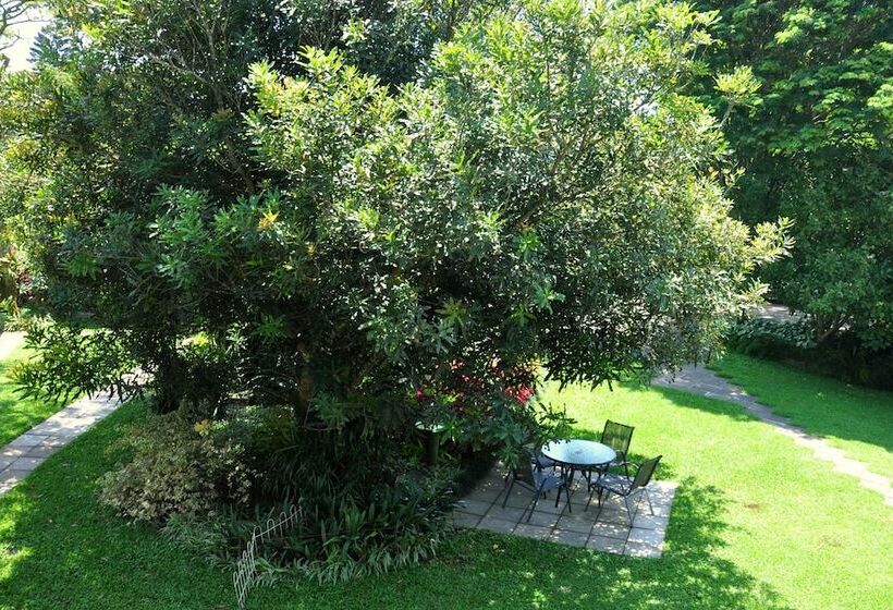 Birds Of Paradise B&b