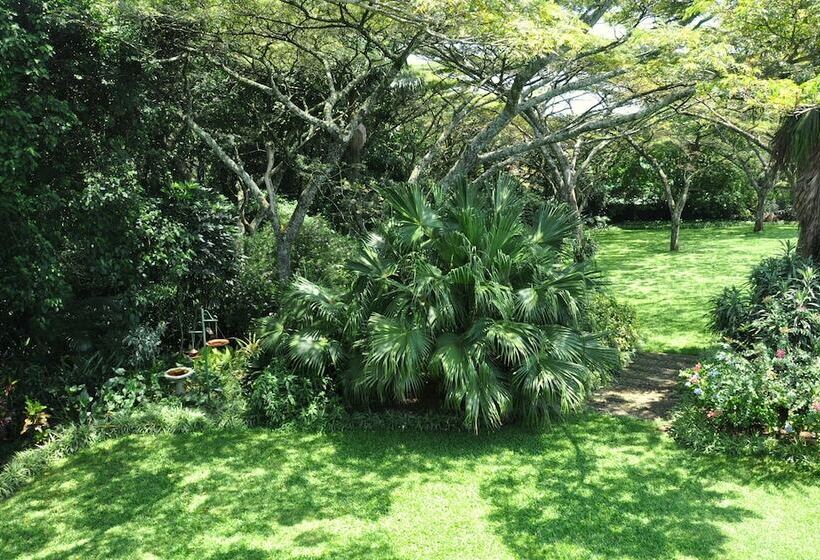 Birds Of Paradise B&b