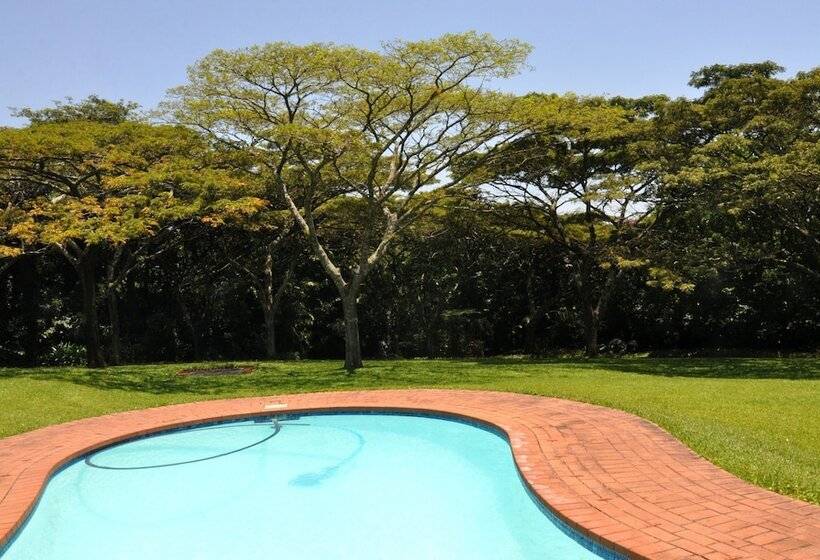 Birds Of Paradise B&b