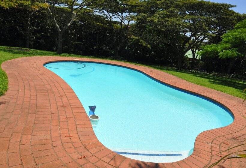 Birds Of Paradise B&b