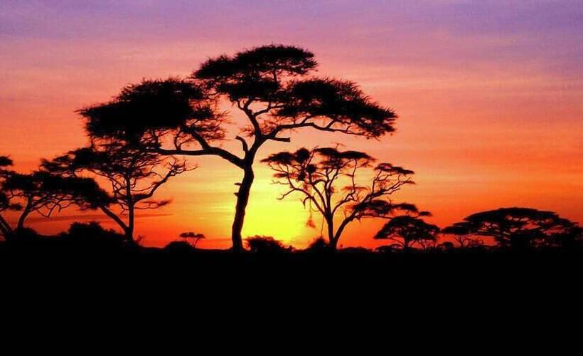 Bothabelo Bed And Breakfast