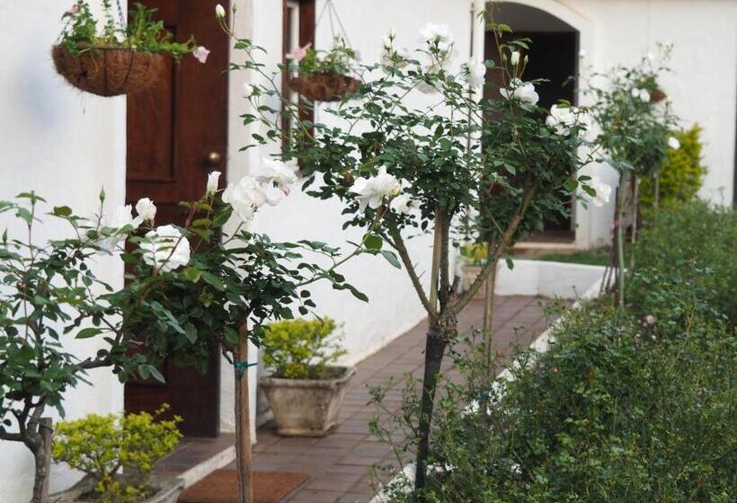 Caladdi Bed And Breakfast