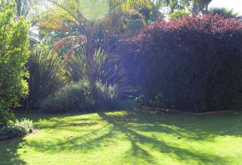 Отель Avant Garde Lodge