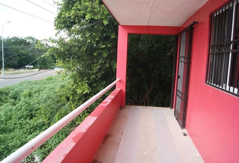 בית מלון כפרי Casaia