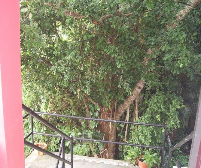 בית מלון כפרי Casaia