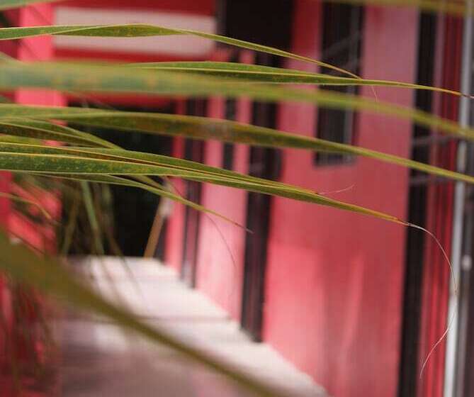 בית מלון כפרי Casaia