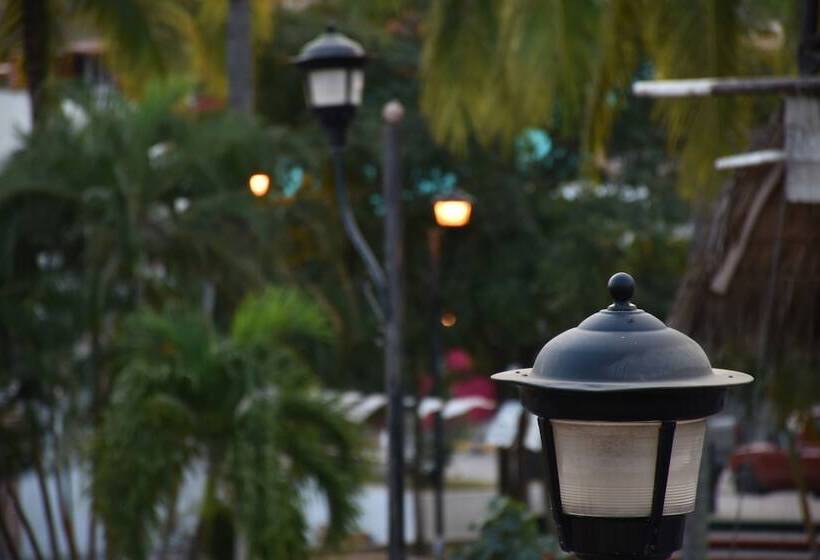 Отель Don Miguel Plaza