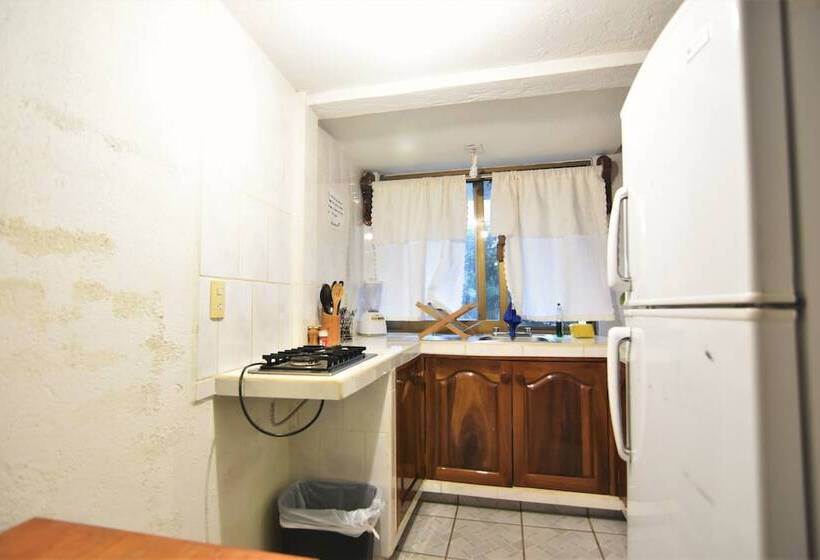 Отель Don Miguel Plaza