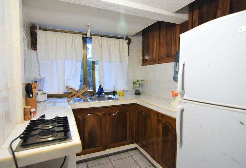 Отель Don Miguel Plaza