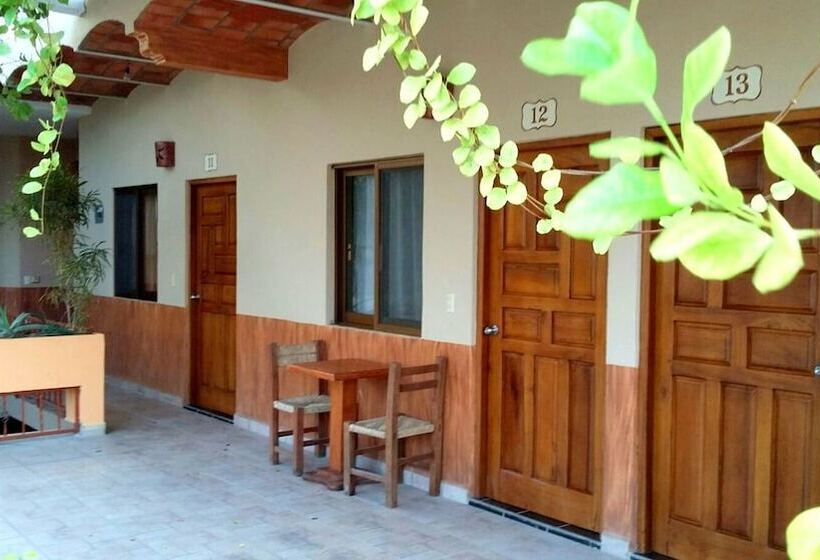 Отель Don Miguel Plaza