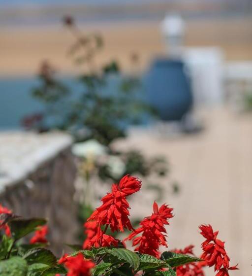 فندق L'hippocampe