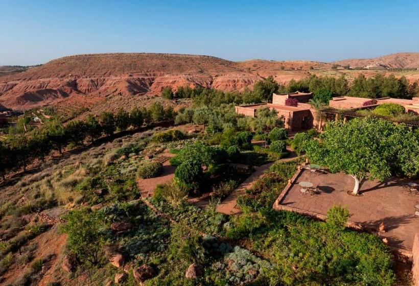 هتل Kasbah Angour