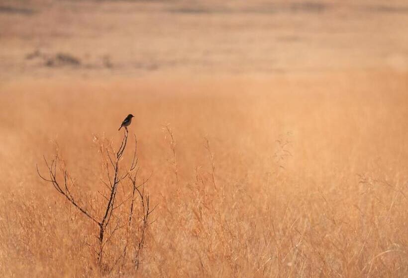 酒店 Kloofzicht Lodge & Spa