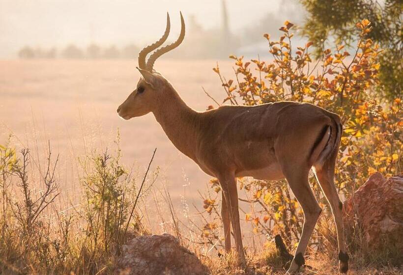 酒店 Kloofzicht Lodge & Spa