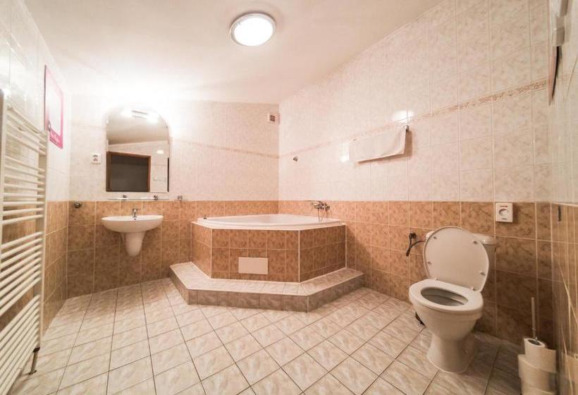 酒店 Penzion Atlas