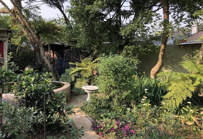 ホテル Rabbit Hole