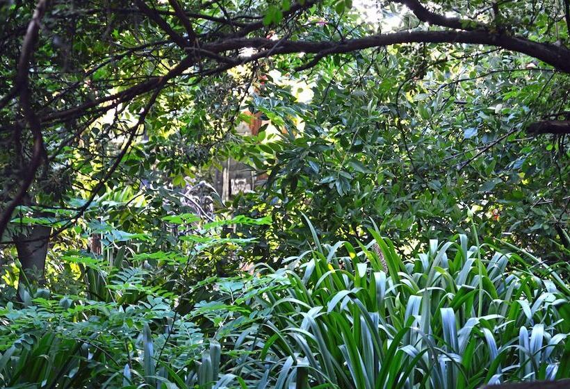 ホテル Rabbit Hole