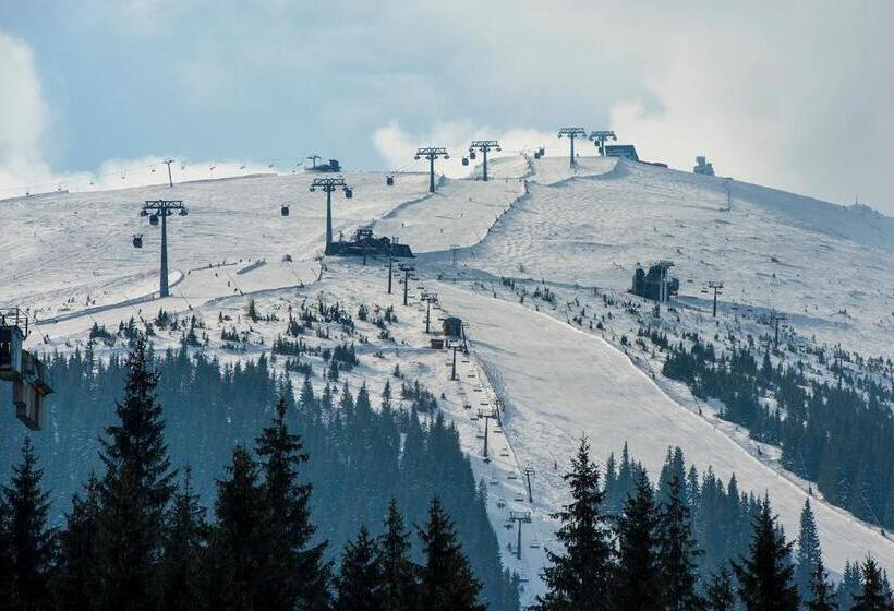 Отель Sorea Snp