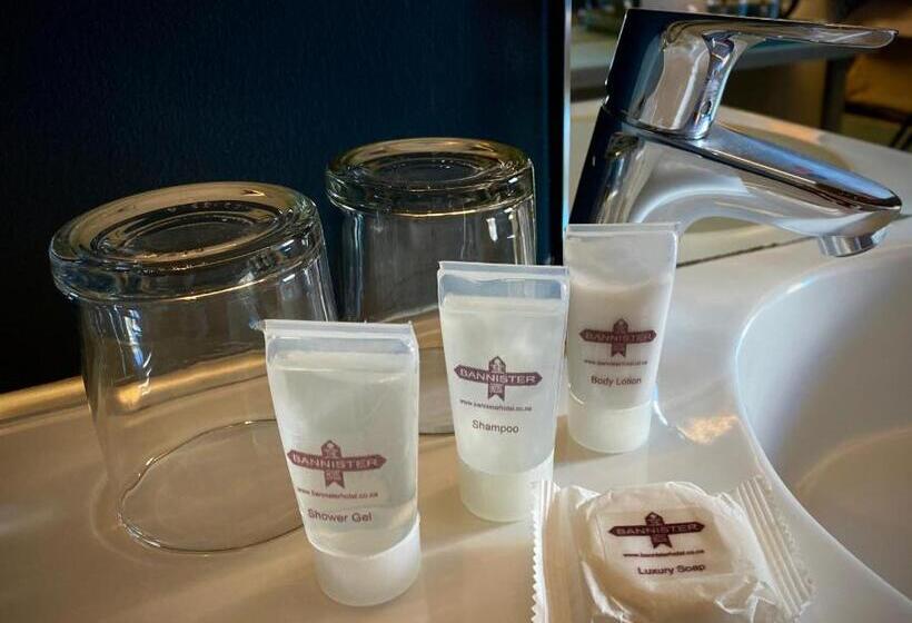 בית מלון כפרי Bannister