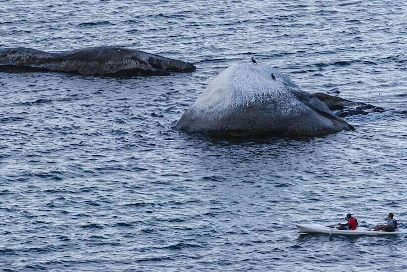 فندق Whale View Manor & Spa