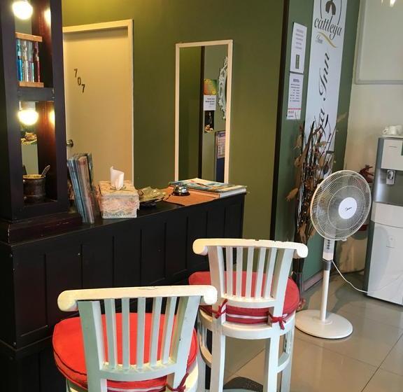 汽车旅馆  Cattleya Inn