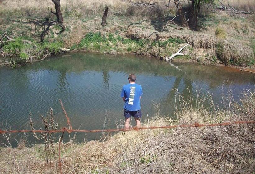 Oak Lane Bed And Breakfast