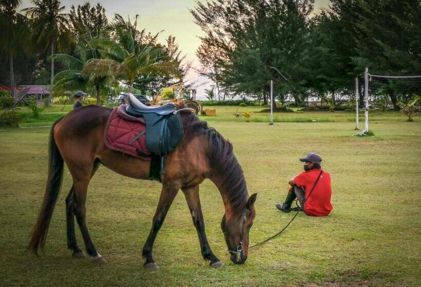 Palm Beach Resort & Spa