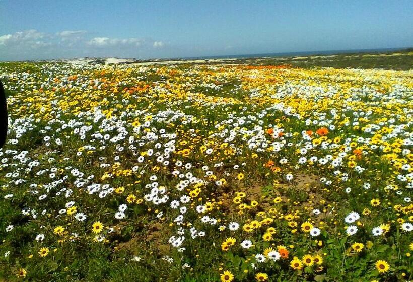 Paters Haven Self Catering And B&b