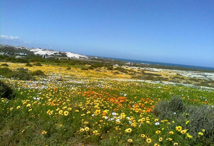 Paters Haven Self Catering And B&b