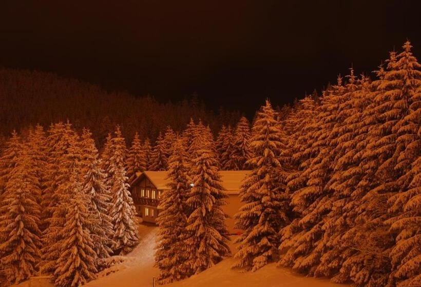 Курорт Family Apartments