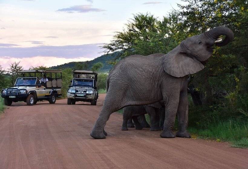 Курорт Sun City Hotel And Casino