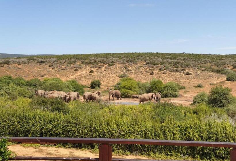 Rosedale Organic Farm Bed & Breakfast