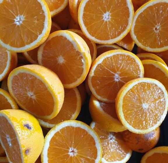 Rosedale Organic Farm Bed & Breakfast