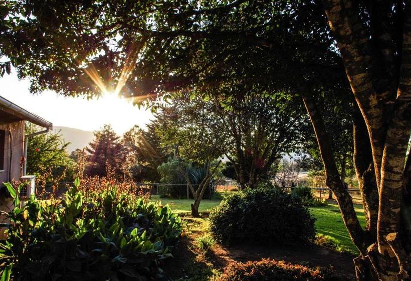 The Manderson Hotel And Conference Centre