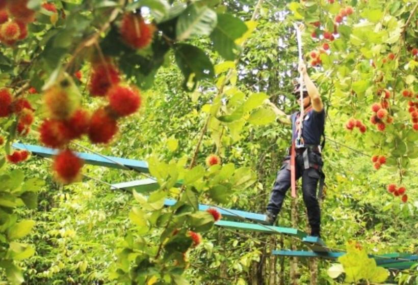 The Orchard Resort & Spa Melaka