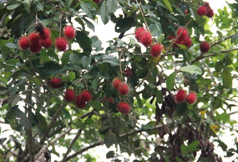 The Orchard Resort & Spa Melaka