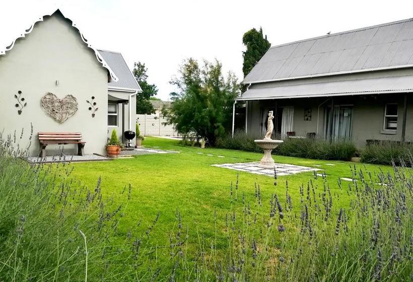 Tranquil House B&b @ 1 College Ave