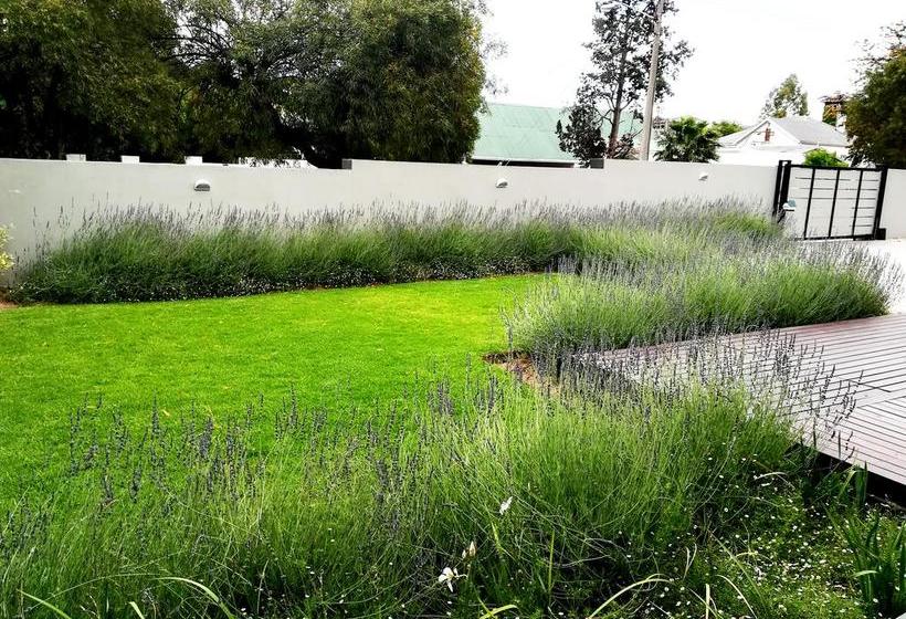 Tranquil House B&b @ 1 College Ave