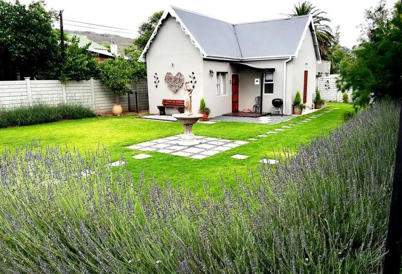 Tranquil House B&b @ 1 College Ave