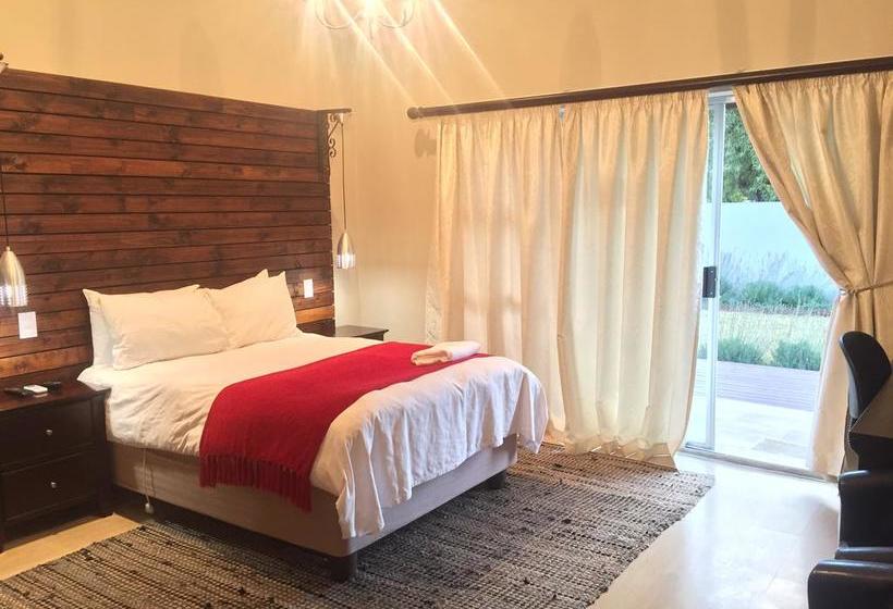 Tranquil House B&b @ 1 College Ave