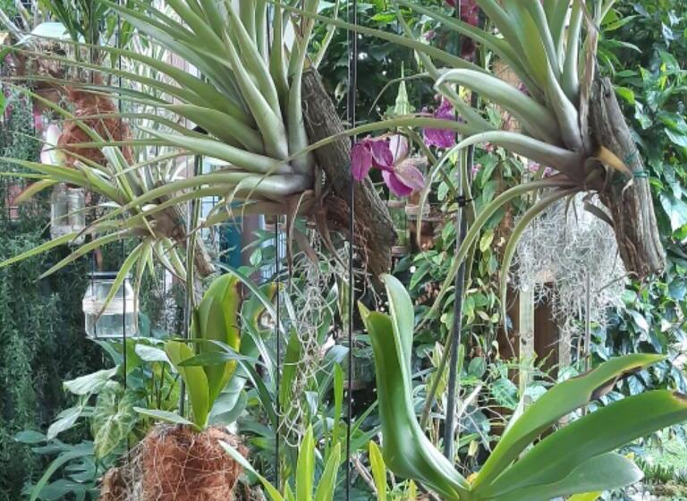 Westlodge At Graskop B&b