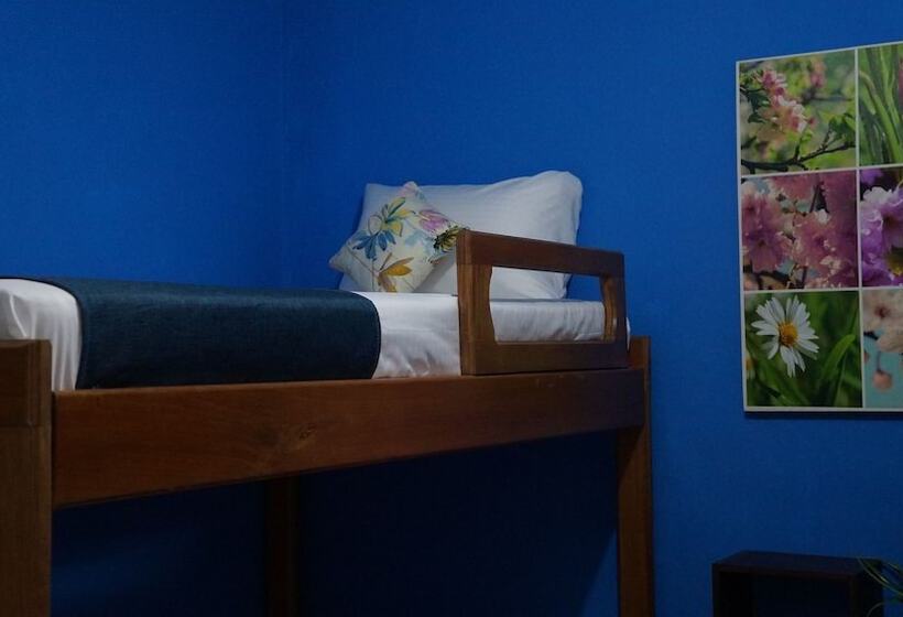 酒店 El Jardin De La 10   Hostel